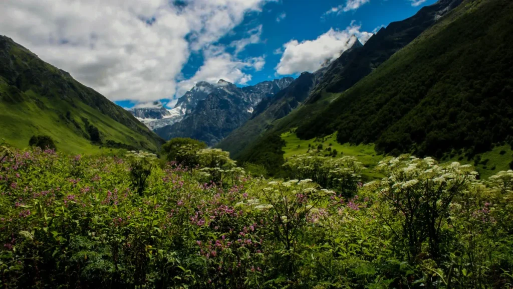 Valley of Flowers Trek