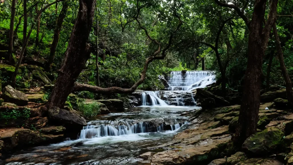 Bee Falls, Pachmarhi