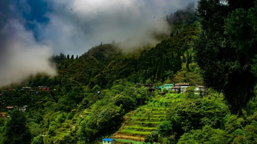 Best Things to do in Dawaipani
