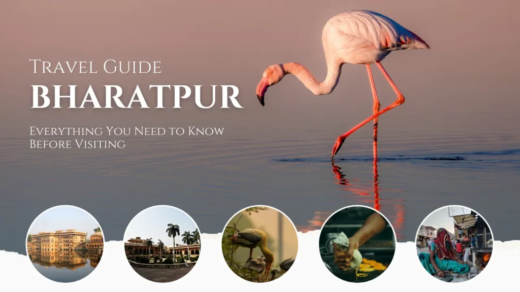Bharatpur Travel Guide