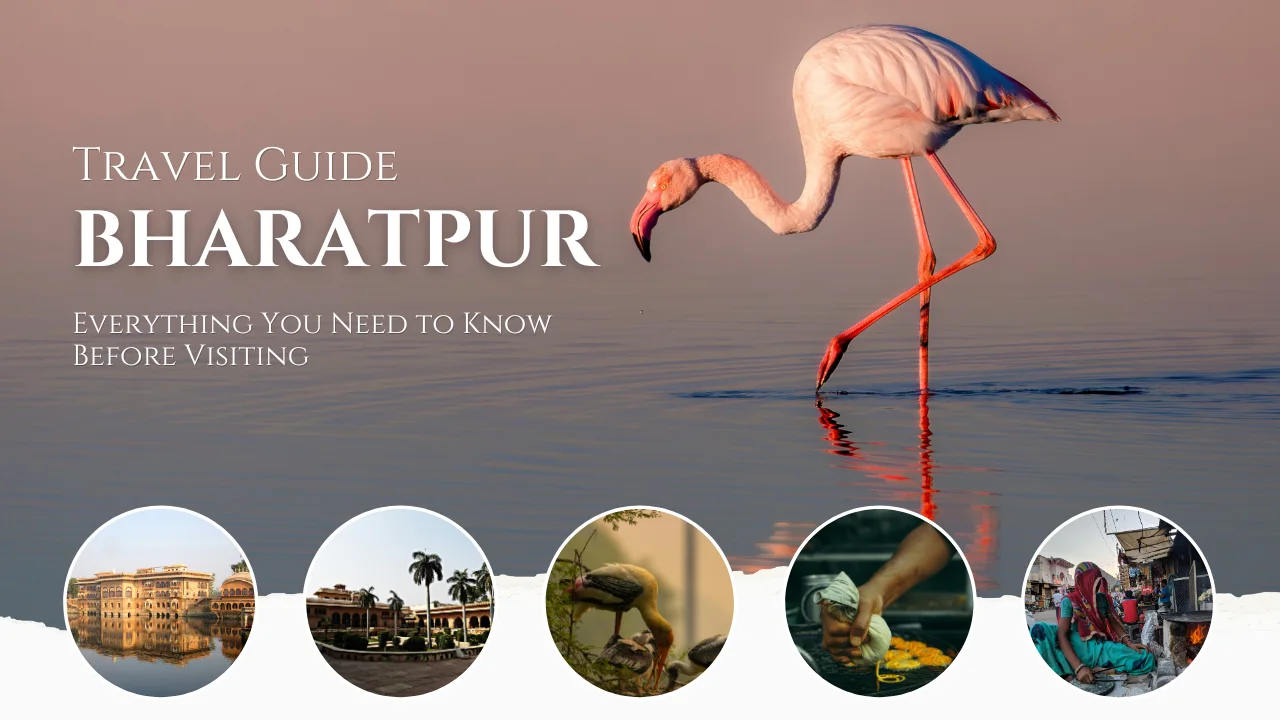Bharatpur Travel Guide