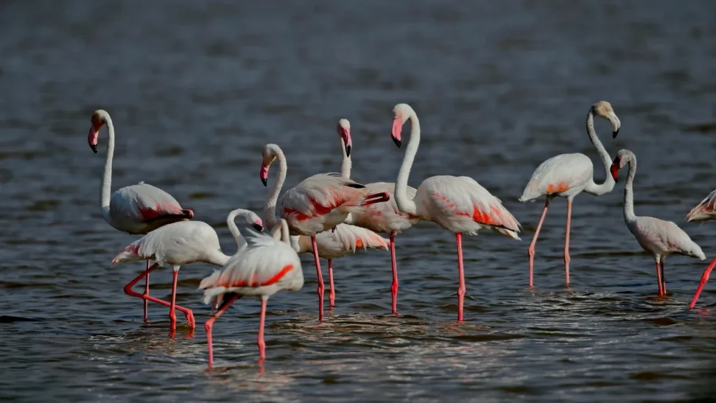 Chandlai Lake