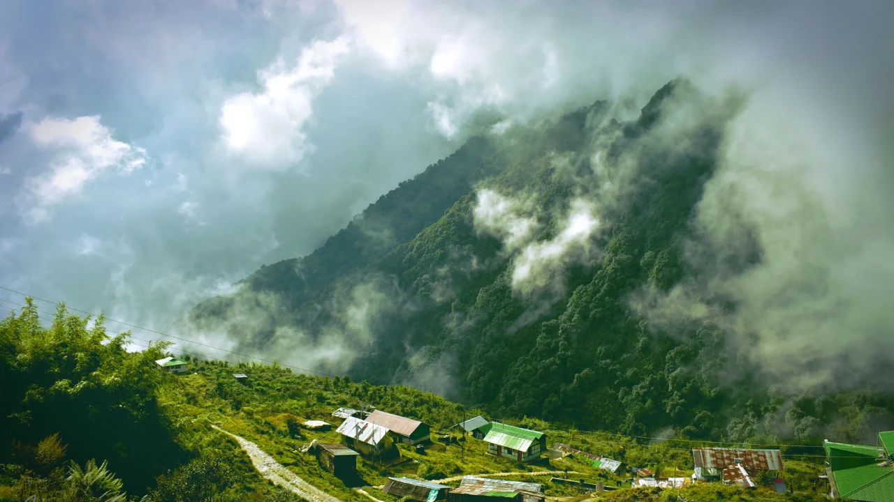 Dawaipani Darjeeling: Things to Do, Best Time & How to Reach
