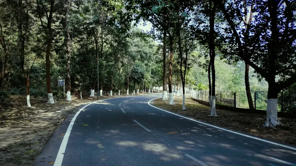 Forest Roads of Tamia
