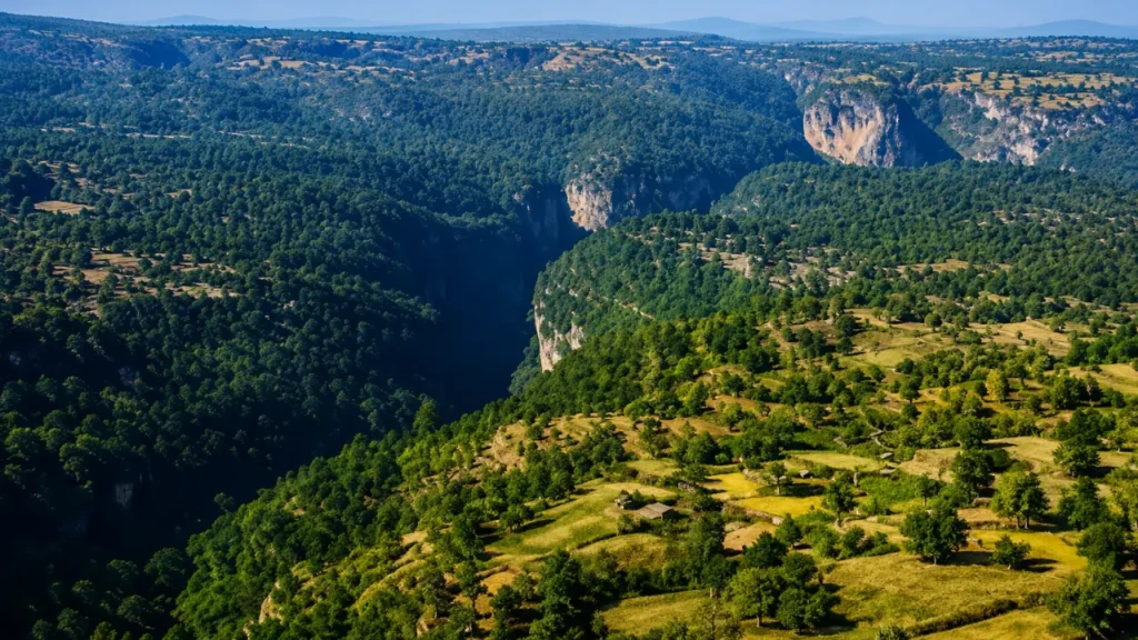 Patalkot Valley, Tamia