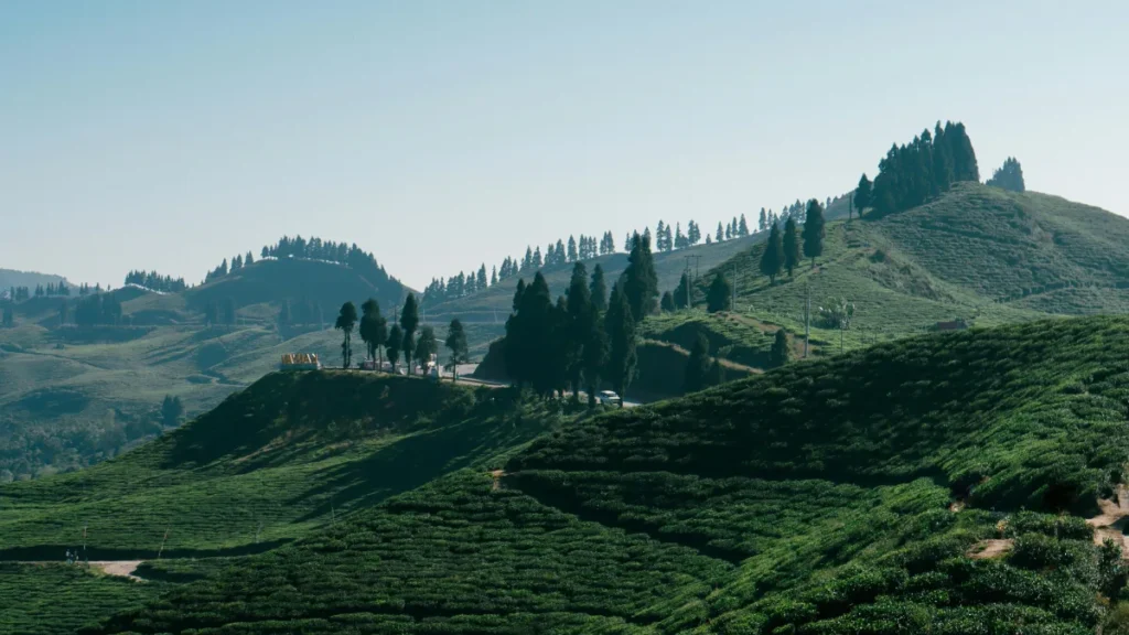 Takdah