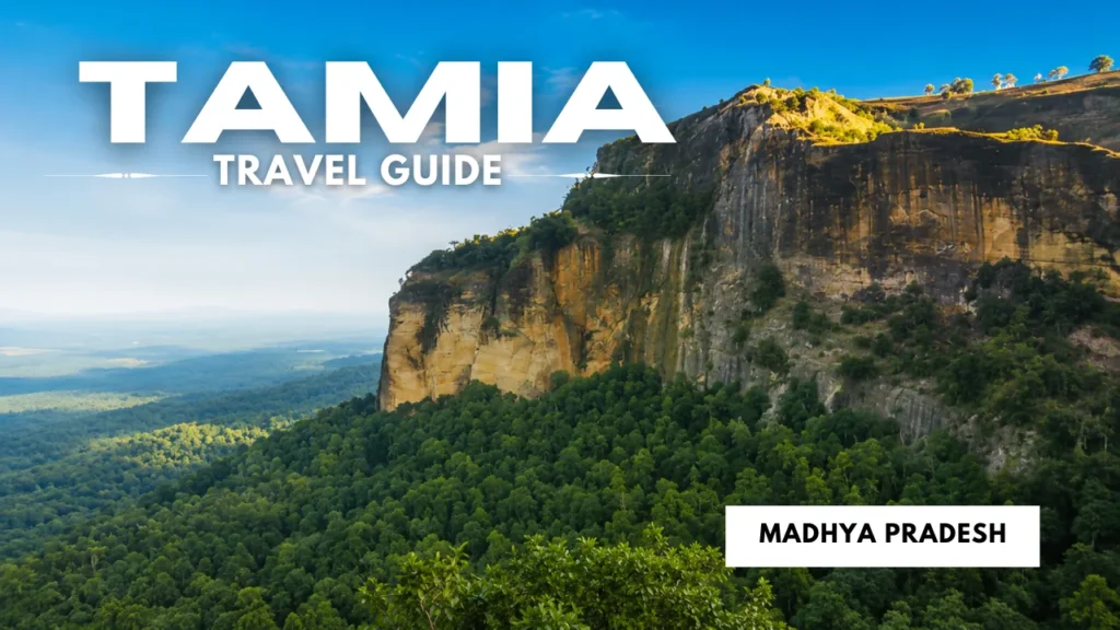Tamia Travel Guide