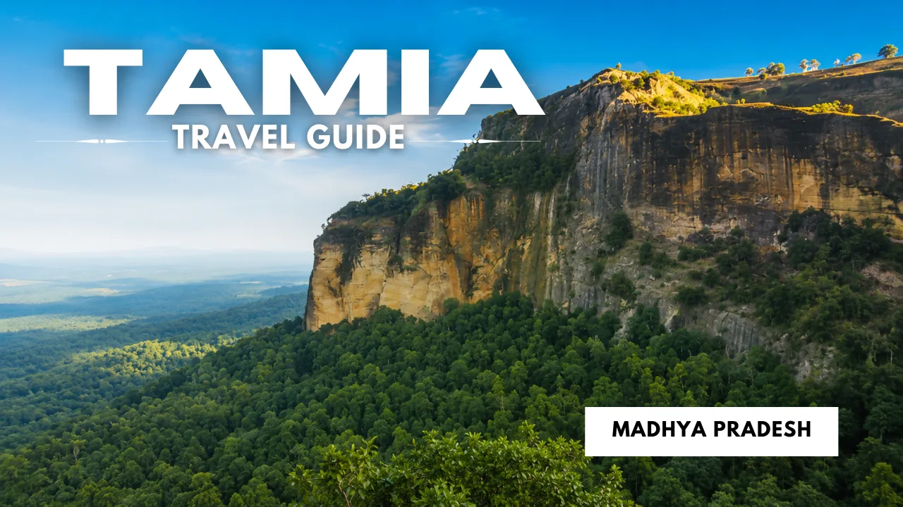 Tamia Travel Guide