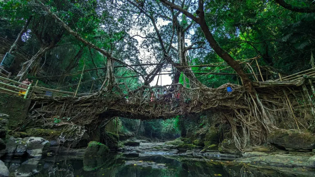 Mawlynnong, Meghalaya
