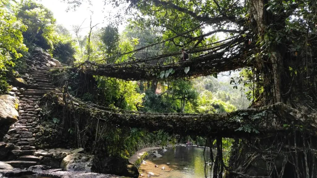 Nongriat, Meghalaya